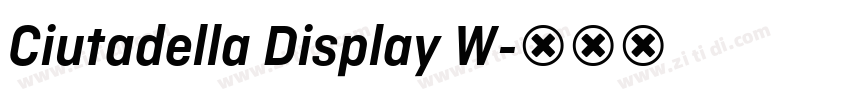 Ciutadella Display W字体转换